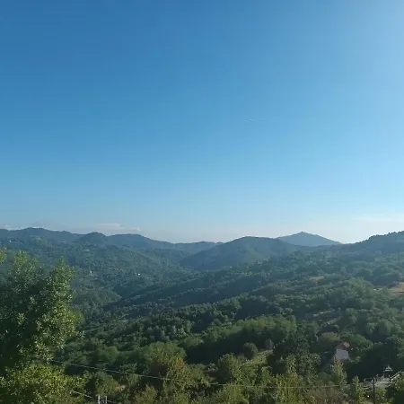 La Pineta It010-058c2o-tj54093 *