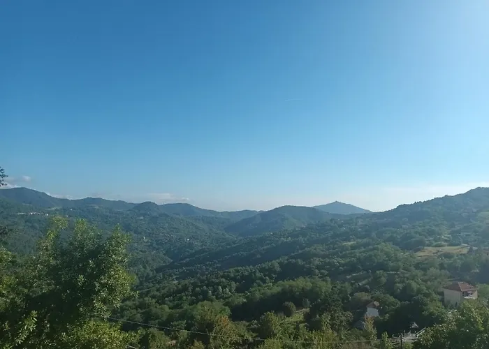 La Pineta It010-058c2o-tj54093 *